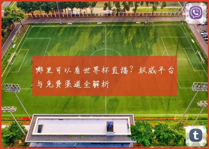 哪里可以看世界杯直播?权威平台与免费渠道全解析